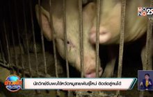 สถานการณ์ไวรัสโควิด-19 ในต่างประเทศ 01-07-63