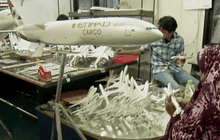 โมเดลเครื่องบินจากอินโดฯก้าวสู่ตลาดโลก