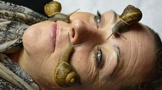 สปาหอยทาก ระบาดไกลถึง ประเทศไทย แล้ว!