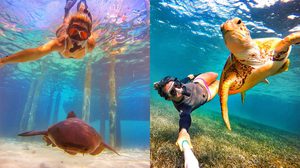 สาวป่วย โรคซึมเศร้า ผันตัวเป็นนักดำน้ำ เซลฟี่กับเหล่าสัตว์ ให้ท้องทะเลช่วยบำบัด