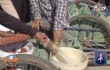 ผลกระทบภัยแล้งภาคอีสาน