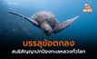 UN บรรลุข้อตกลงสนธิสัญญาปกป้องทะเลหลวงทั่วโลก