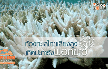 ท้องทะเลไทย เสี่ยงสูง การเกิดปะการังฟอกขาว