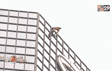 “สไปเดอร์แมนฝรั่งเศส” ปีนตึกรณรงค์วันผมร่วง