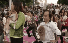 ฮ่องกงทำสถิติสอนโยคะสุนัขจำนวนมากที่สุดในโลก