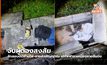 จับผู้ต้องสงสัย ลักลอบตัดสายไฟ-สายส่งสัญญาณ รถไฟฟ้าชานเมืองสายสีแดง