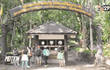 เปิดให้นักท่องเที่ยวขึ้นภูกระดึงแล้ว