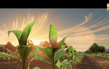 Good Dinosaur ปล่อยภาพนิ่งงานละเอียดสุดงามที่ซุ่มทำมา 6 ปี