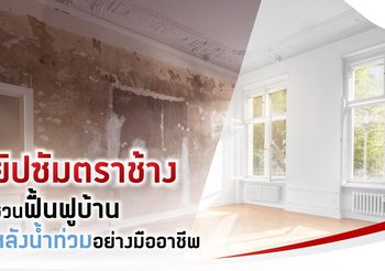 ยิปซัมตราช้าง ชวนฟื้นฟูบ้านหลังน้ำท่วมอย่างมืออาชีพ