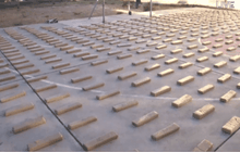 โบลิเวียยึดกัญชาเกือบ 2 ตัน