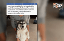เจ้าของสุนัขไซบีเรียนแจ้งความสุนัขถูกฆ่า