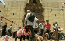 งานประสาทพรแก่สัตว์ในเปรู