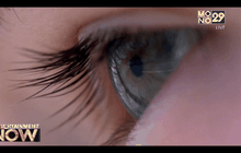 ภาพแรก สารคดีแห่งเวลาและจักรวาลฝีมือ “เทอเรนซ์ มาลิค”