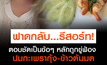 สาวรีวิว กะเพรากุ้งเขาค้อ ตอบชัดๆ ทีละประเด็น หลังรีสอร์ทเขาค้อ ขู่ฟ้อง!!