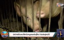 สถานการณ์ไวรัสโควิด-19 ในต่างประเทศ 01-07-63
