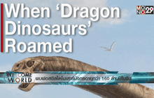 พบฟอสซิลไดโนเสาร์มังกรอายุกว่า 160 ล้านปีในจีน