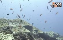 ผู้นำเซเชลส์เดินหน้าแผนปกป้องพื้นที่ใต้ทะเล