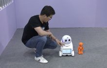 นิทรรศการหุ่นยนต์ในจีน