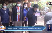แม่ลูกผวา! น้ำในโอ่งถูกใส่ยาฆ่าแมลง หวังให้ตายยกครัว