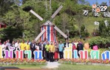ชมทิวลิปในงานเทศกาลดอกไม้บานที่เบตง