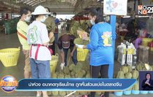 น่าห่วง อนาคตทุเรียนไทย ถูกหั่นส่วนแบ่งในตลาดจีน