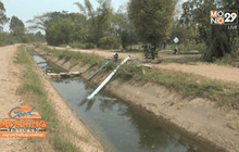 ผลกระทบจากภัยแล้งทั่วประเทศ 