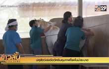 ปศุสัตว์เร่งฉีดวัคซีนคุมกาฬโรคในม้าระบาด