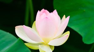 ปฏิทินวันพระ 2562 เดือนกันยายน