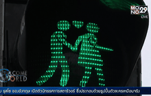 สัญญาณไฟรักเพศเดียวกันในออสเตรีย