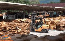 ก.เกษตรฯ เตรียมลงพื้นที่เจรจาชาวสวนยางภาคใต้