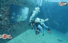 นิทรรศการศิลปะใต้น้ำในสหรัฐฯ