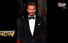 “เดวิด เบ็คแฮม” เตรียมเป็นอัศวินของจริง!