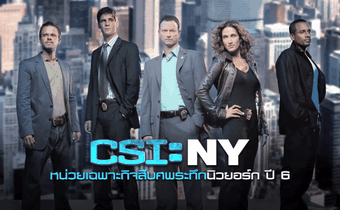 CSI : NY หน่วยเฉพาะกิจสืบศพระทึกนิวยอร์ก ปี 6