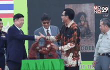 ลิงอุรังอุตัง 14 ตัวกลับถึงอินโดฯ