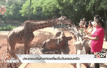 ประชาชนเดินทางท่องเที่ยวในวันครอบครัว