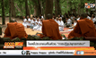 โพลชี้ประชาชนเห็นด้วย “การปฏิรูปพุทธศาสนา”