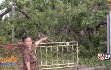เกิดพายุสร้างความเสียหายหลายจังหวัด