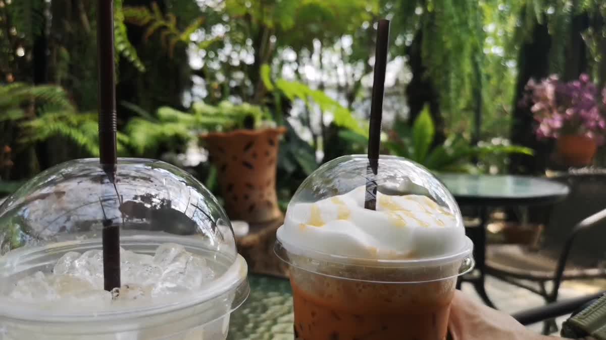 กาแฟบ้านสวนปันสุข : จิบกาแฟกลางสวนและแก๊งน้องไก่ย่านนนท์ฯ