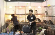 Thailand Best Shopping Fair 2017