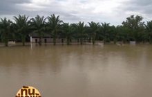 สถานการณ์น้ำท่วมขังในหลายจังหวัดภาคใต้