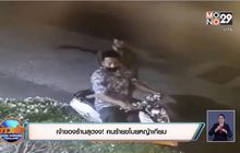 เจ้าของร้านสุดงง! คนร้ายขโมยหญ้าเทียม