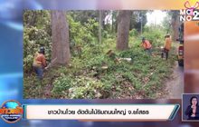 ชาวบ้านโวย ตัดต้นไม้ริมถนนใหญ่ จ.ยโสธร
