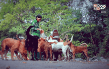 Five minutes Bighero : อ้อยใจ แดนอีสาน ตอนที่ 3/5