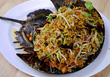 เตือน!! ไข่แมงดาทะเล มีพิษอันตรายถึงตาย สังเกตสักนิดก่อนซื้อ