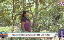 ครม.เคาะเงินเยียวยาเกษตรกร 5,000 บาท 3 เดือน