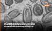 WHO ตรวจสอบรายงานพบเชื้อฝีดาษลิงในอสุจิ