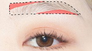 Step by Step วิธี เขียนคิ้วตรง VS วิธี เขียนคิ้วโค้ง