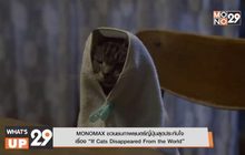 MONOMAX ชวนชมภาพยนตร์ญี่ปุ่นสุดประทับใจ เรื่อง “If Cats Disappeared From the World”