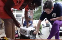 29 LifeSmart : โครงการดูแลสัตว์เลี้ยงเพื่อเจ้าของรายได้น้อย