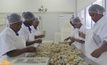 อุตสาหกรรม “หอยเป๋าฮื๊อ” แอฟริกาใต้